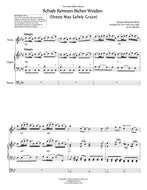 Sheep May Safely Graze, Bach - Violin and Organ
