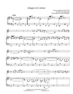 Adagio in G minor, Albinoni - French Horn and Piano