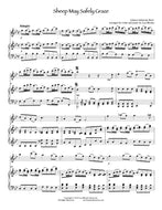 Sheep May Safely Graze, Bach - Violin and Piano
